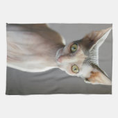 最も可愛い赤ん坊の動物 |スフィンクス猫 キッチンタオル (横)