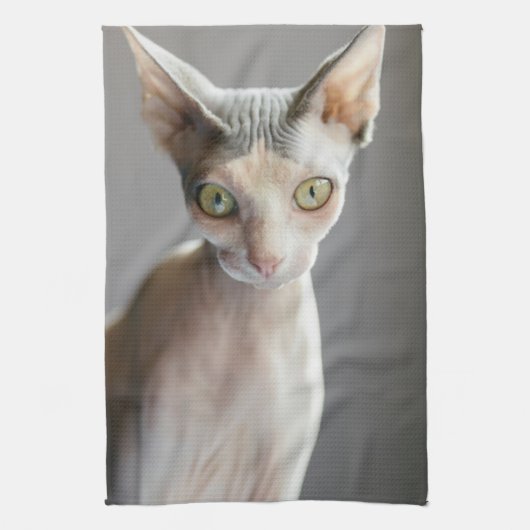 最も可愛い赤ん坊の動物 |スフィンクス猫 キッチンタオル (縦)