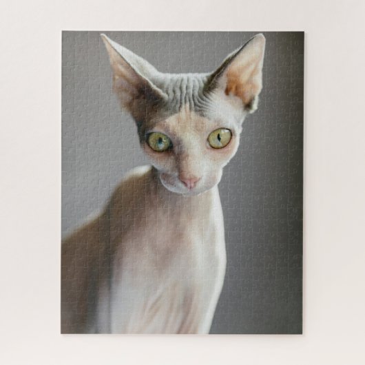 最も可愛い赤ん坊の動物 |スフィンクス猫 ジグソーパズル (縦)