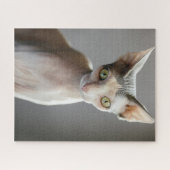 最も可愛い赤ん坊の動物 |スフィンクス猫 ジグソーパズル (横)