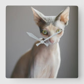 最も可愛い赤ん坊の動物 |スフィンクス猫 スクエア壁時計 (正面)