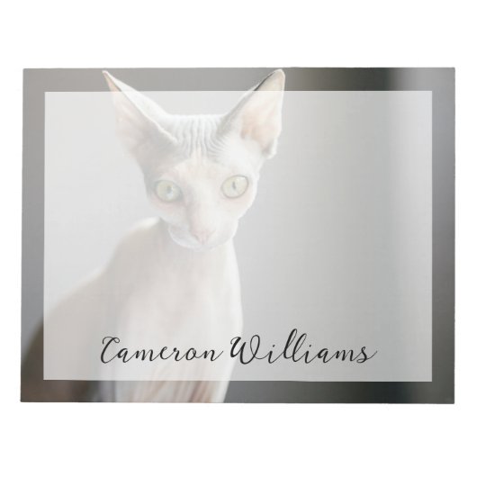 最も可愛い赤ん坊の動物 |スフィンクス猫 ノートパッド (正面)