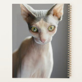 最も可愛い赤ん坊の動物 |スフィンクス猫 プランナー手帳 (裏面)