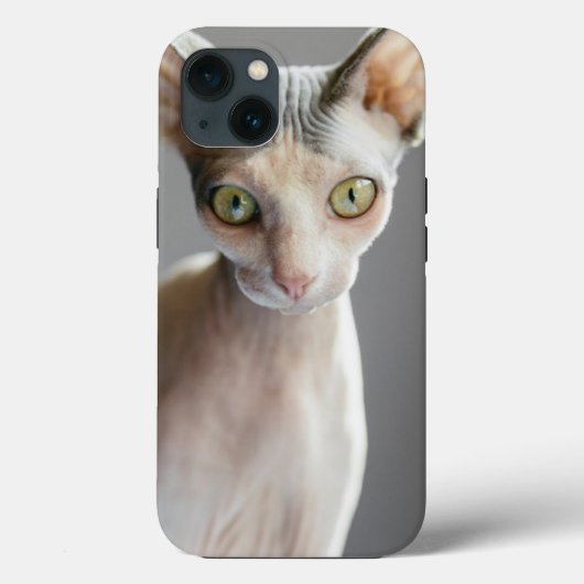 最も可愛い赤ん坊の動物 |スフィンクス猫 Case-Mate iPhoneケース (裏面)