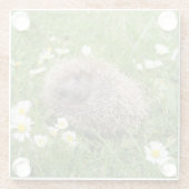最も可愛い赤ん坊の動物 | スペインの Hedgehog ガラスコースター (裏面)