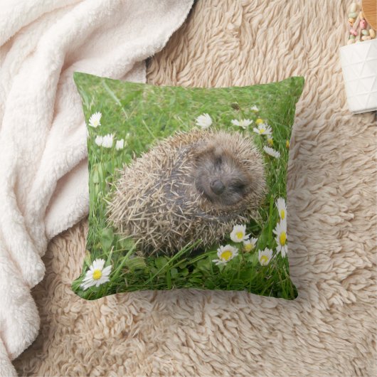 最も可愛い赤ん坊の動物 | スペインの Hedgehog クッション (ブランケット)