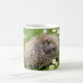 最も可愛い赤ん坊の動物 | スペインの Hedgehog コーヒーマグカップ (中央)