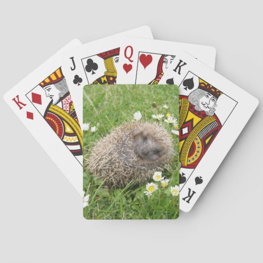 最も可愛い赤ん坊の動物 | スペインの Hedgehog トランプ (裏面)