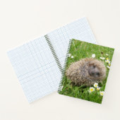 最も可愛い赤ん坊の動物 | スペインの Hedgehog ノートブック (内部)