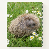 最も可愛い赤ん坊の動物 | スペインの Hedgehog ノートブック (裏面)