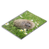 最も可愛い赤ん坊の動物 | スペインの Hedgehog ノートブック (左側)