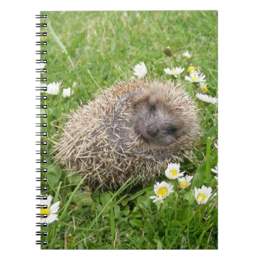 最も可愛い赤ん坊の動物 | スペインの Hedgehog ノートブック (正面)