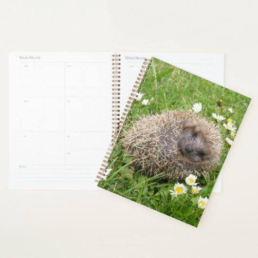 最も可愛い赤ん坊の動物 | スペインの Hedgehog プランナー手帳 (ディスプレー)