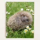最も可愛い赤ん坊の動物 | スペインの Hedgehog プランナー手帳 (正面)