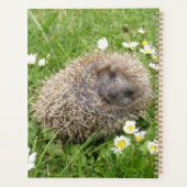 最も可愛い赤ん坊の動物 | スペインの Hedgehog プランナー手帳 (裏面)