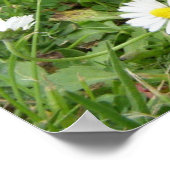 最も可愛い赤ん坊の動物 | スペインの Hedgehog ポスター (角)