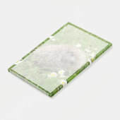 最も可愛い赤ん坊の動物 | スペインの Hedgehog ポストイット (アングル)