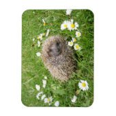 最も可愛い赤ん坊の動物 | スペインの Hedgehog マグネット (縦)