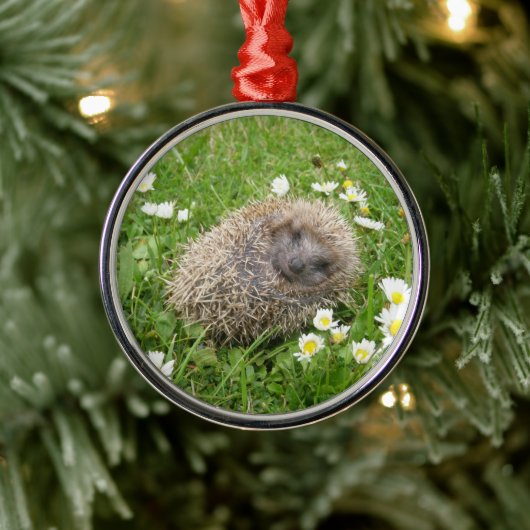 最も可愛い赤ん坊の動物 | スペインの Hedgehog メタルオーナメント (ツリー)