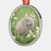 最も可愛い赤ん坊の動物 | スペインの Hedgehog メタルオーナメント (左)