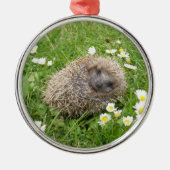 最も可愛い赤ん坊の動物 | スペインの Hedgehog メタルオーナメント (正面)