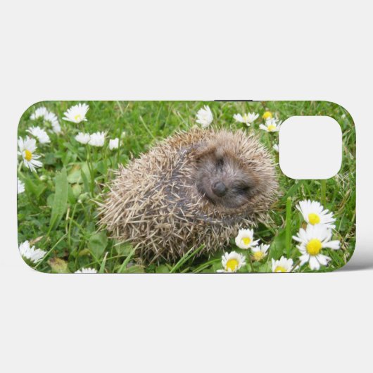 最も可愛い赤ん坊の動物 | スペインの Hedgehog Case-Mate iPhoneケース (裏面 (横))