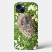 最も可愛い赤ん坊の動物 | スペインの Hedgehog Case-Mate iPhoneケース (裏面)