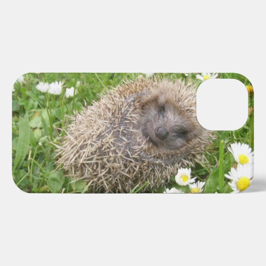 最も可愛い赤ん坊の動物 | スペインの Hedgehog iPhoneケース (裏面横)