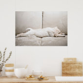 最も可愛い赤ん坊の動物 |スリーピーイエローラブラドール子犬 ポスター (キッチン)