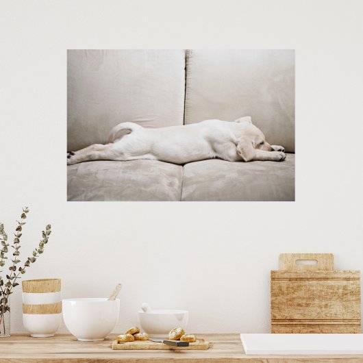 最も可愛い赤ん坊の動物 |スリーピーイエローラブラドール子犬 ポスター (キッチン)