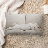 最も可愛い赤ん坊の動物 |スリーピーイエローラブラドール子犬 ランバークッション (ブランケット)