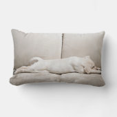 最も可愛い赤ん坊の動物 |スリーピーイエローラブラドール子犬 ランバークッション (正面)