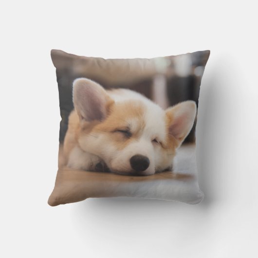 最も可愛い赤ん坊の動物 |スリーピーコーギ クッション (裏面)