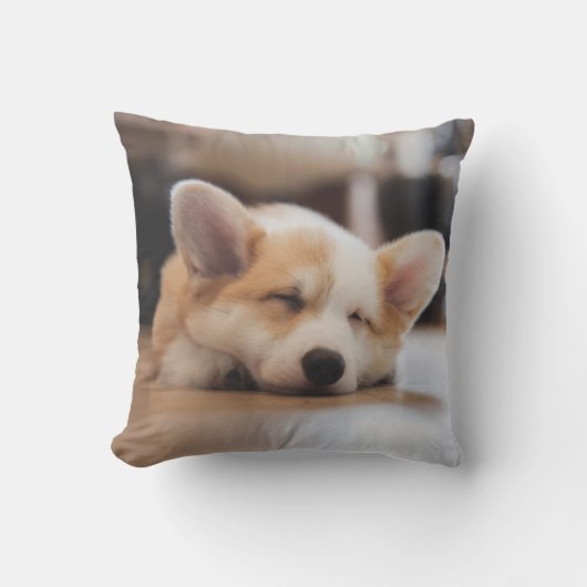 最も可愛い赤ん坊の動物 |スリーピーコーギ クッション (正面)