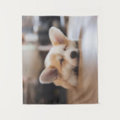 最も可愛い赤ん坊の動物 |スリーピーコーギ タペストリー (正面)