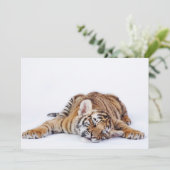 最も可愛い赤ん坊の動物 |スリーピーベビータイガーカッブ サンキューカード (スタンド正面)