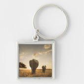 最も可愛い赤ん坊の動物 |ゾウの子牛と母 キーホルダー (正面)