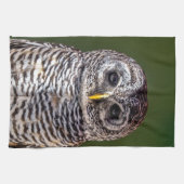 最も可愛い赤ん坊の動物 |タウニーフクロウ キッチンタオル (横)