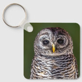 最も可愛い赤ん坊の動物 |タウニーフクロウ キーホルダー (正面)