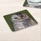最も可愛い赤ん坊の動物 |タウニーフクロウ スクエアペーパーコースター (アングル)