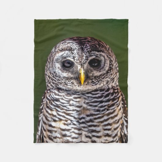 最も可愛い赤ん坊の動物 |タウニーフクロウ フリースブランケット (正面)