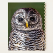 最も可愛い赤ん坊の動物 |タウニーフクロウ プランナー手帳 (裏面)