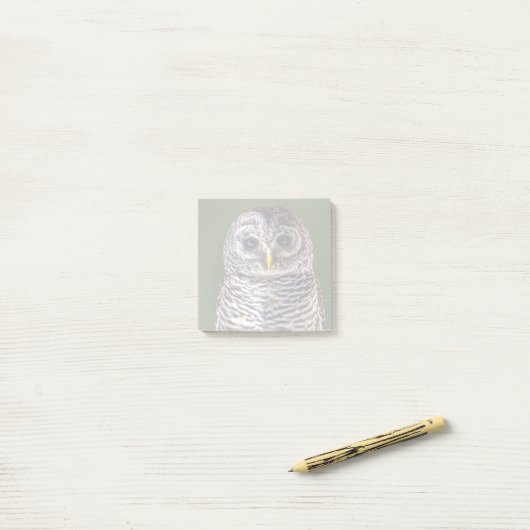 最も可愛い赤ん坊の動物 |タウニーフクロウ ポストイット (デスク上)