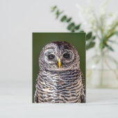 最も可愛い赤ん坊の動物 |タウニーフクロウ ポストカード (スタンド正面)