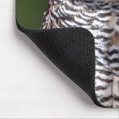 最も可愛い赤ん坊の動物 |タウニーフクロウ マウスパッド (コーナー)