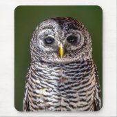 最も可愛い赤ん坊の動物 |タウニーフクロウ マウスパッド (正面)