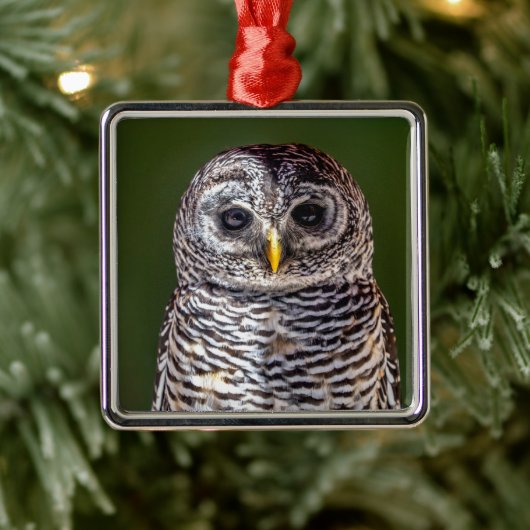 最も可愛い赤ん坊の動物 |タウニーフクロウ メタルオーナメント (ツリー)
