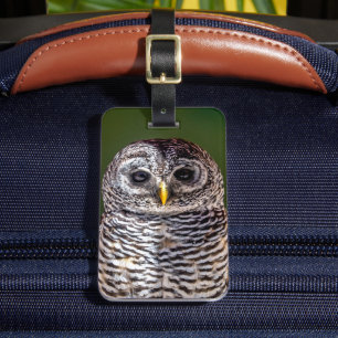 最も可愛い赤ん坊の動物  タウニーフクロウ ラゲッジタグ