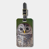 最も可愛い赤ん坊の動物 |タウニーフクロウ ラゲッジタグ (正面縦)