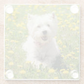 最も可愛い赤ん坊の動物 |タンポポのウェスティー・ドッグ ガラスコースター (裏面)
